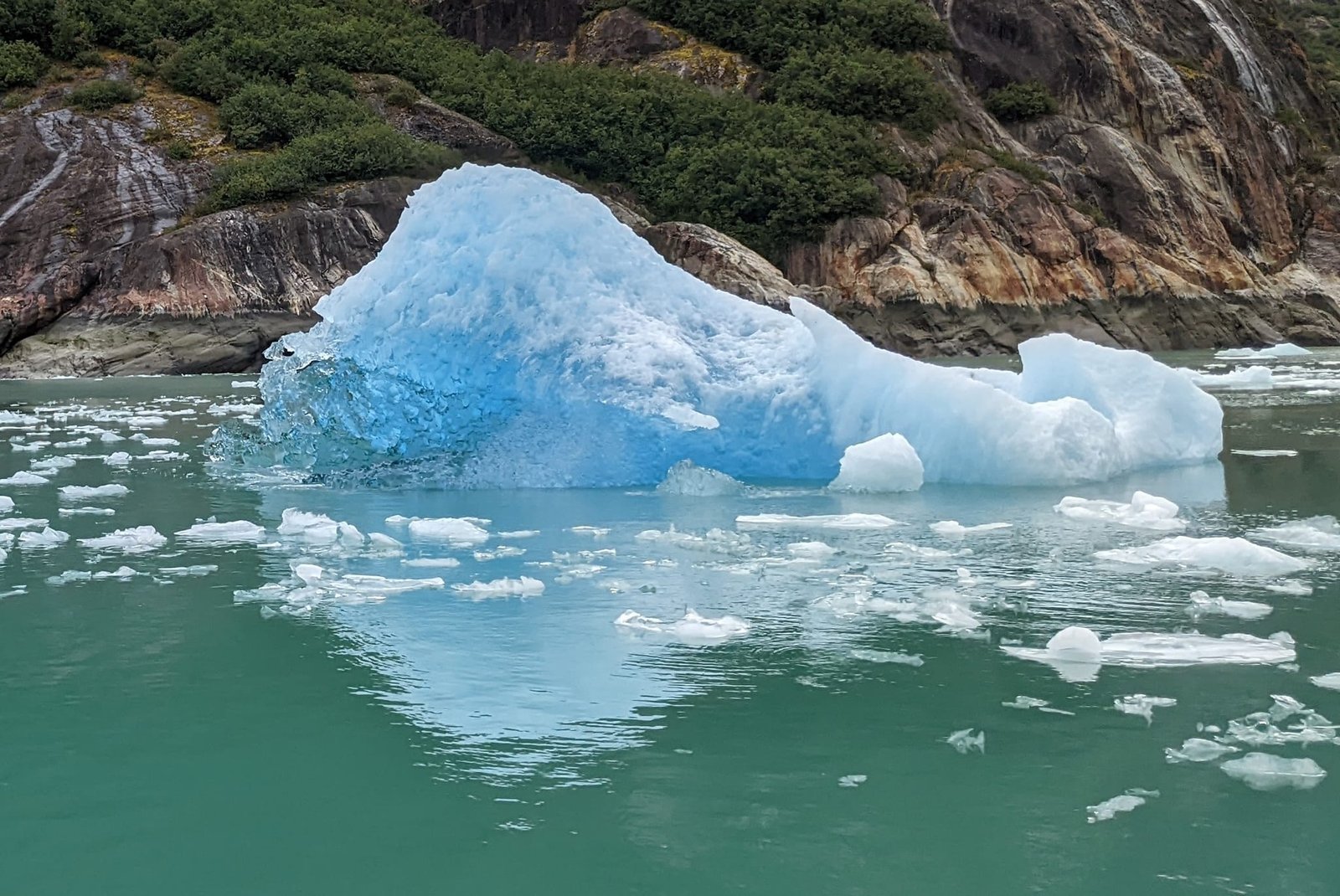 Dawes Glacier Endicott Arms